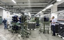1 de marzo de 2017. Italia, Valle Mosso, Biella, Reda 1865 fábrica textil. Hombres que trabajan con hilados y maquinaria de producción - foto de stock