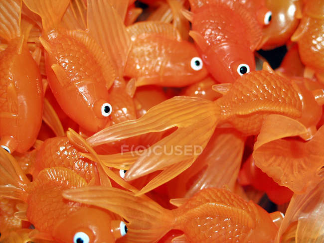 fishes toys