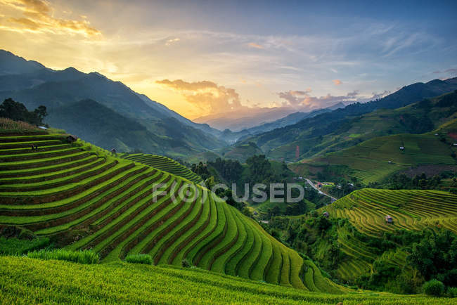 Rice fields on terrace in rainy season at Mu Cang Chai, Yen Bai, Vietnam — стокове фото