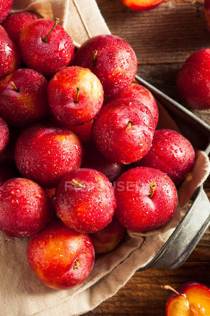 Fresh Raw Organic Cherry Plums — Stock Photo