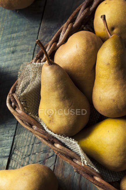 Raw Organic Green and Brown Bosc Pears — Stock Photo