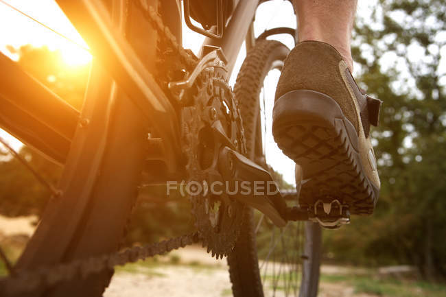 Rear view man peddling bike — Stock Photo