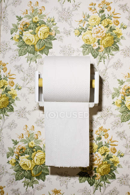 close up of toilet paper on wall with wallpaper pattern domestic room stock photo 207580496 focused collection