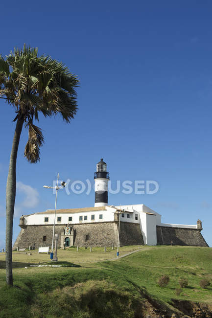 Farol da Barra farol Salvador Brasil com palmeira — Fotografia de Stock