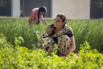 Mãe indiana com filha no campo de fazenda verde no dia ensolarado — Fotografia de Stock
