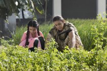 Mãe indiana com filha no campo de fazenda verde no dia ensolarado — Fotografia de Stock