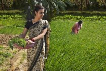 Индийская мать с дочерью на зеленом поле фермы в солнечный день — стоковое фото