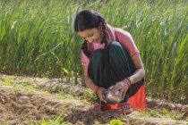 Счастливая индийская девушка льет воду на землю в сельском хозяйстве — стоковое фото