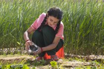 Menina indiana feliz regar pequenas plantas sentadas no campo agrícola — Fotografia de Stock