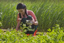 Happy Indian girl watering soil sitting in agriculture field — Stock Photo