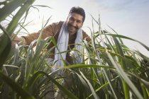 Низкий угол зрения счастливый индийский фермер в высокой траве против голубого неба — стоковое фото