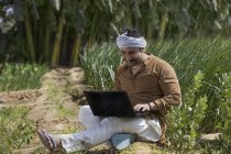 Indian farmer using laptop using computer in agriculture field — Stock Photo