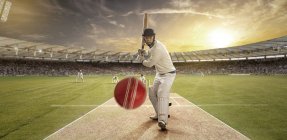 Sportsman playing cricket at stadium, selective focus — Stock Photo