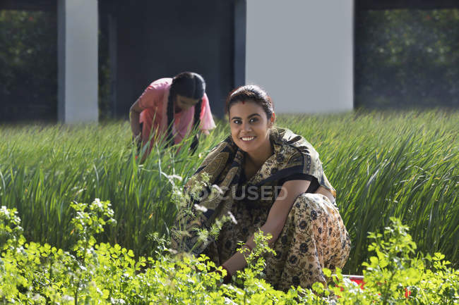 Madre indiana con figlia sul campo verde della fattoria nella giornata di sole — Foto stock