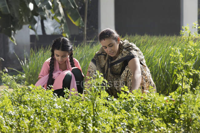 Indian mother with daughter on green farm field at sunny day — Stock Photo