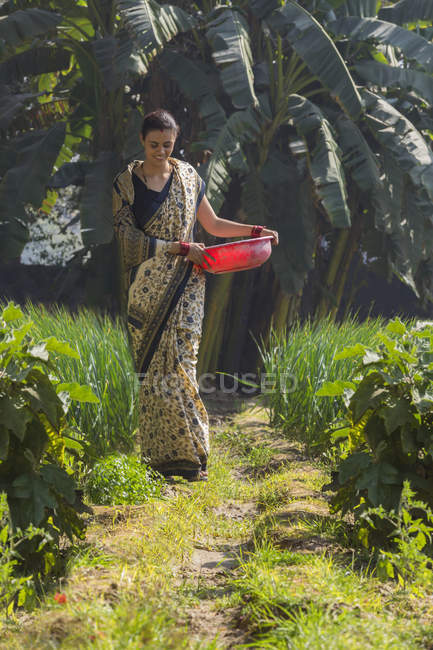 Indian woman walking on agriculture field with plastic pan in hand — Stock Photo