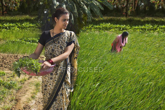 Індійська мама з донькою на зелений ферми поля в сонячний день — стокове фото