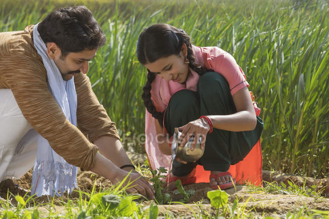 Menina indiana e pai regando pequenas plantas no campo agrícola — Fotografia de Stock