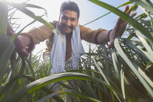 Vista de ángulo bajo de agricultor indio feliz en la hierba alta contra el cielo azul - foto de stock