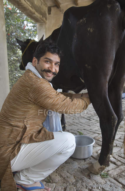 Back view of milkman milking cow in barn — Stock Photo