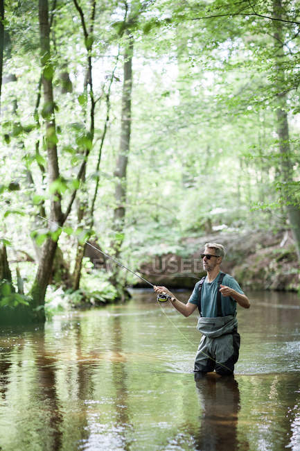 Un hombre paciente en vadeadores es la pesca con mosca en el río en la zona forestal
. - foto de stock