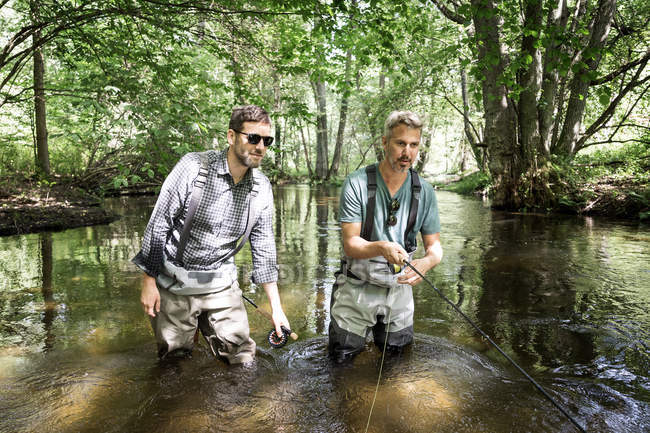 Dos hombres en vadeadores son la pesca con mosca en el río en la zona forestal . - foto de stock
