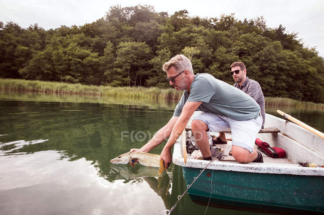 Side view of Two fly fishers are setting free a pike into the freshwater after catching it — Stock Photo
