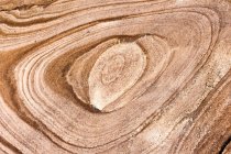 Austrália, Sydney, Passeio Litoral Bondi Beach, Formação de Rochas — Fotografia de Stock