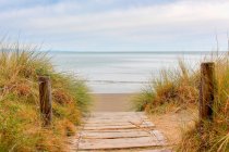 Новая Зеландия, Южный остров, Тасман, Похара, Пахоа, спокойная сцена с дикой травой на песчаном пляже и деревянной набережной — стоковое фото