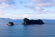 Новая Зеландия, Северный остров, Вайкато, Хахей, поход к Соборной пещере, живописный морской пейзаж с камнями на закате — стоковое фото