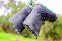Close up of rubber boots with spider webs — Stock Photo