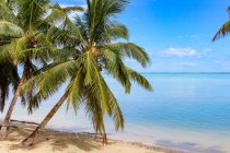 Ilhas Cook, Aitutaki, Vista panorâmica da praia vazia — Fotografia de Stock