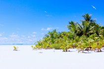 Kochinseln, Aitutaki, Hochzeitsinsel, Lagunentour, weißer Sandstrand und Meerblick — Stockfoto