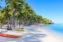 Islas Cook, Aitutaki, Escena de resort tropical con playa de arena blanca bajo palmeras - foto de stock