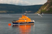 Vereinigtes Königreich, Schottland, Hochland, Portree, Portree Port, orangefarbenes Schiff und fliegende Möwe — Stockfoto
