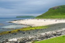 Великобритания, Шотландия, Нагорье, Остров Скай, Коралловые пляжи в Клейгане, Озеро Данвеган, живописный вид на побережье с зелеными скалами на песчаном пляже — стоковое фото
