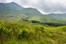 Великобритания, Шотландия, Highland, Inhabess, En route Highland at Inhabess, зеленый горный ландшафт — стоковое фото
