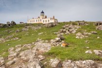 United Kingdom, Scotland, Highland, Isle of Skye, Glendale, On the way to the lighthouse, Neist Point, on green hill — Stock Photo