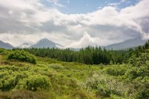 Reino Unido, Escocia, Highland, Isla de Skye - foto de stock