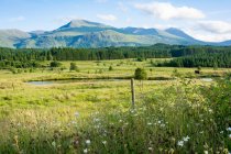 Royaume-Uni, Écosse, Highland, Spean Bridge, paysage de montagnes pittoresques par prairie verte — Photo de stock