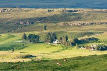 United Kingdom, Scotland, Highlands, Isle of Skye, Portree, Green Fields at Loch Snizort — Stock Photo