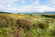 Reino Unido, Escocia, Highlands, Isla de Skye, Portree paisaje verde con lago - foto de stock
