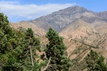 Uzbekistán, provincia de Taskent, Bustonlik tumani, estribaciones de Chimgan en las montañas de Tienshan - foto de stock