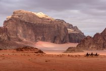 Jordan, Aqaba Gouvernement, Wadi Rum, Wadi Rum is a desert high plateau in South Jordan. Camels by red mountains — Stock Photo