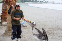 Homem alimentando pelicano na praia, Pisco, Ica, Peru — Fotografia de Stock