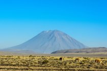 Перу, Arequipa, Ashua, Distant view of Volcano Misti — стоковое фото