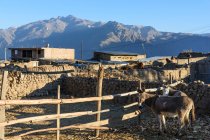 Perú, Arequipa, Cabanaconde, pueblo de montaña Cabanaconde, mirador Cruz del Cóndor en el Cañón del Colca - foto de stock