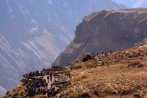Pérou, Arequipa, Caylloma, Le point de vue de Colca Canyon est célèbre pour ses nombreux condors — Photo de stock