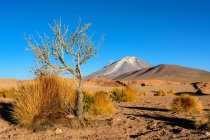 Bolivien, Departamento de Potos, Nor Lopez, Jeep Safari durch Südbolivien — Stockfoto
