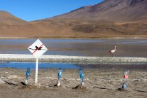 Bolivia, Laguna Canapa, Señal de advertencia junto al lago con flamenco, Paisaje de montaña sobre fondo - foto de stock